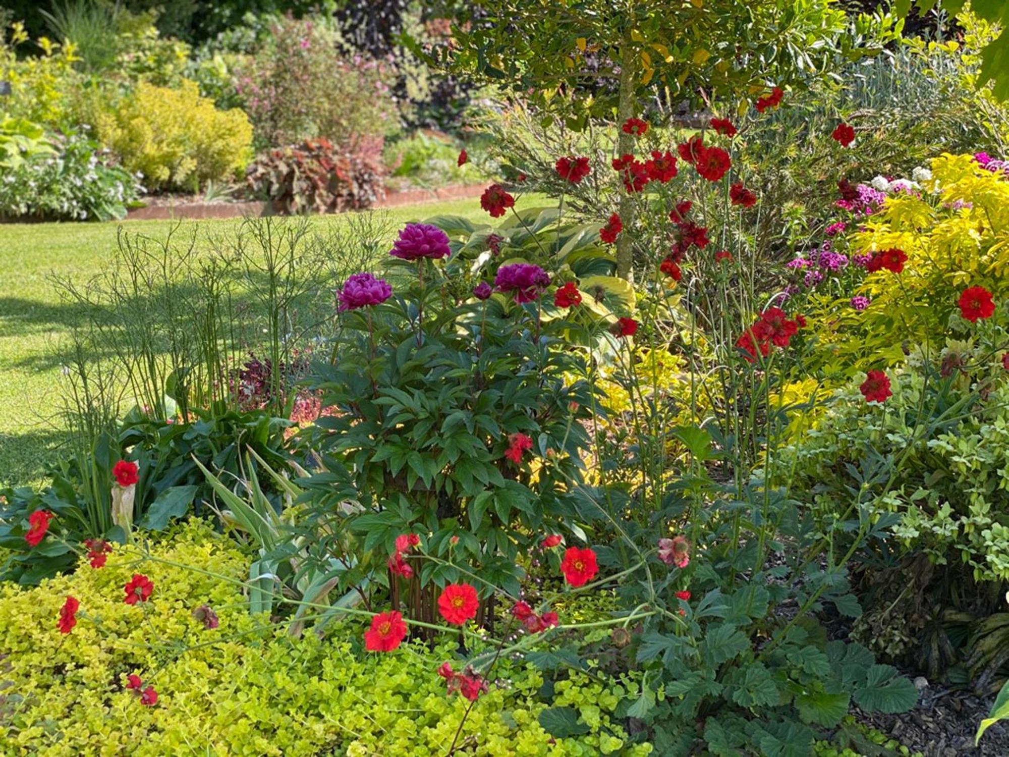 L'Ecole Des Garcons Bed and Breakfast Maigne Buitenkant foto